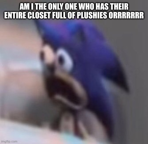 I can’t help it they’re too cute also I slept like a brick last night literally I got this big ass Bruise on my arm | AM I THE ONLY ONE WHO HAS THEIR ENTIRE CLOSET FULL OF PLUSHIES ORRRRRRR | image tagged in traumatised sonic | made w/ Imgflip meme maker