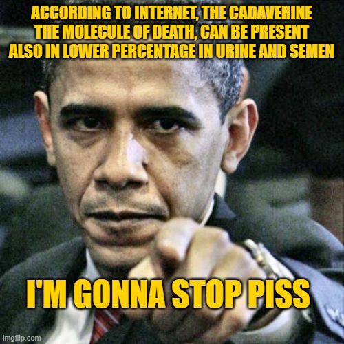 Pissed Off Obama Meme | ACCORDING TO INTERNET, THE CADAVERINE THE MOLECULE OF DEATH, CAN BE PRESENT ALSO IN LOWER PERCENTAGE IN URINE AND SEMEN I'M GONNA STOP PISS | image tagged in memes,pissed off obama | made w/ Imgflip meme maker