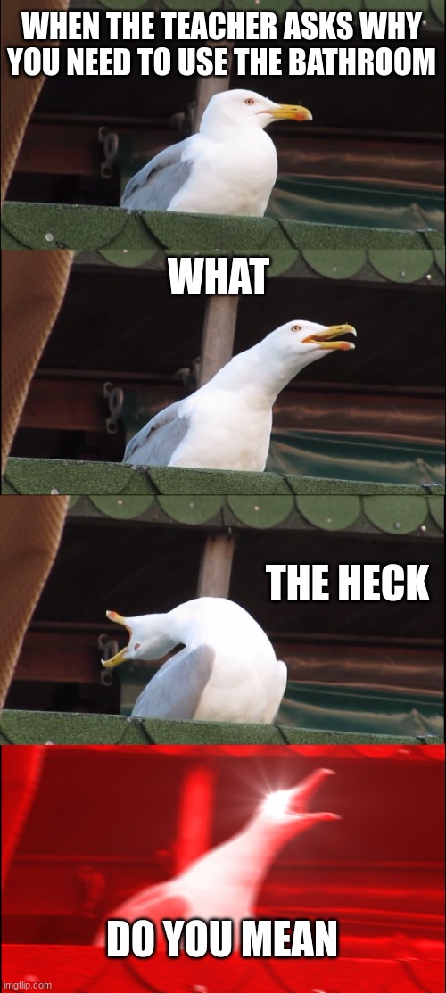 Inhaling Seagull Meme | WHEN THE TEACHER ASKS WHY YOU NEED TO USE THE BATHROOM; WHAT; THE HECK; DO YOU MEAN | image tagged in memes,inhaling seagull | made w/ Imgflip meme maker