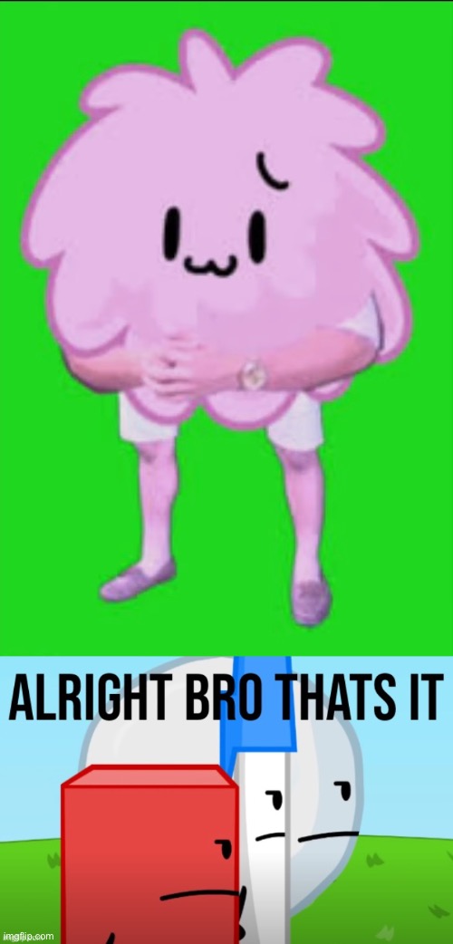 The fuck | image tagged in cursed puffball,alright bro thats it | made w/ Imgflip meme maker