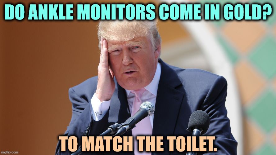 DO ANKLE MONITORS COME IN GOLD? TO MATCH THE TOILET. | image tagged in trump,criminal,guilty,jail,prison,ankle monitor | made w/ Imgflip meme maker