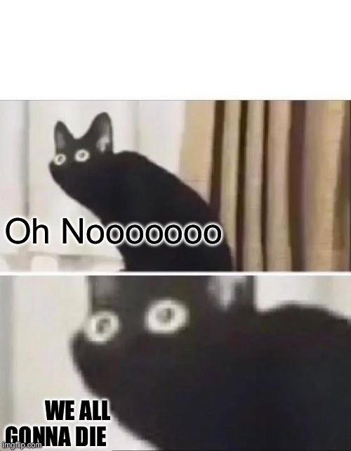 Oh No Black Cat | Oh Nooooooo WE ALL GONNA DIE | image tagged in oh no black cat | made w/ Imgflip meme maker