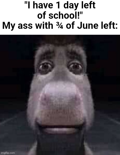 "I have 1 day left of school!"
My ass with ¾ of June left: | image tagged in blank white template,donkey staring | made w/ Imgflip meme maker