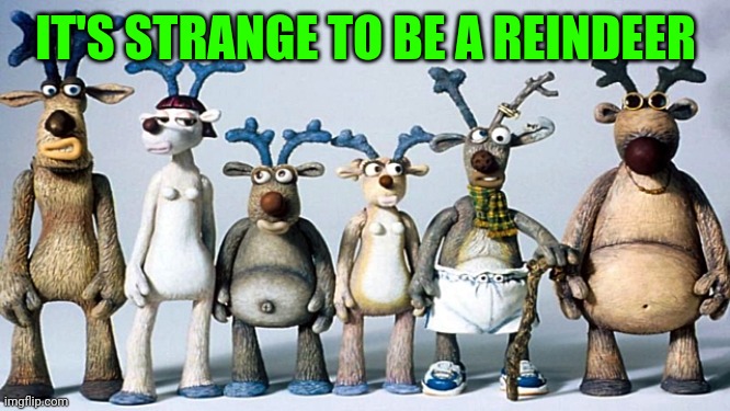set santa reindeer | IT'S STRANGE TO BE A REINDEER | image tagged in set santa reindeer | made w/ Imgflip meme maker