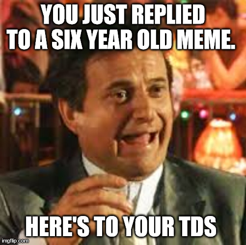 YOU JUST REPLIED TO A SIX YEAR OLD MEME. HERE'S TO YOUR TDS | image tagged in joe pesci | made w/ Imgflip meme maker
