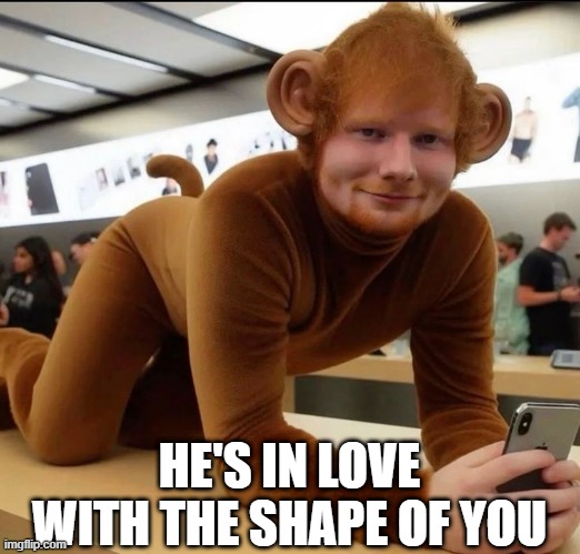 Monkey Ed | HE'S IN LOVE WITH THE SHAPE OF YOU | image tagged in ed sheeran | made w/ Imgflip meme maker