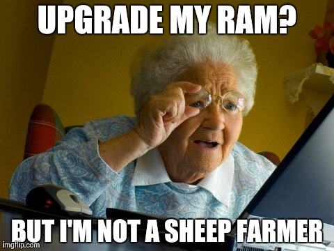 Grandma Finds The Internet | UPGRADE MY RAM? BUT I'M NOT A SHEEP FARMER | image tagged in memes,grandma finds the internet | made w/ Imgflip meme maker