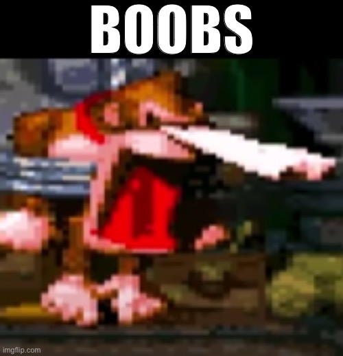 Dumb shit | BOOBS | image tagged in yowzas | made w/ Imgflip meme maker