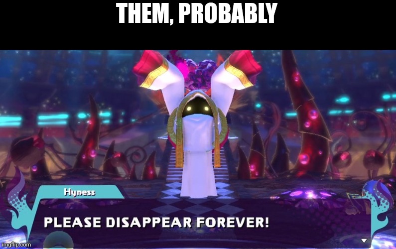 PLEASE DISAPPEAR FOREVER! | THEM, PROBABLY | image tagged in please disappear forever | made w/ Imgflip meme maker