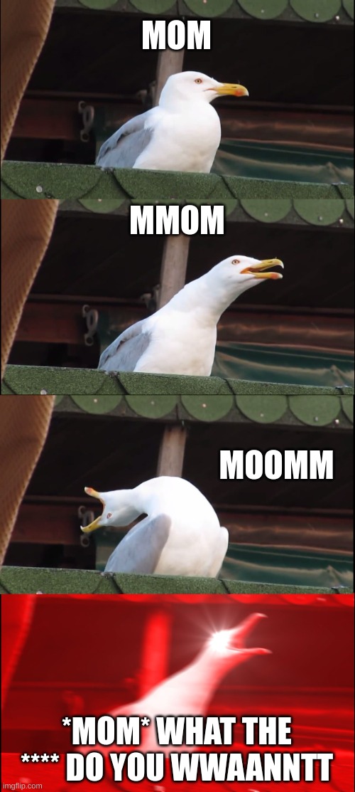 Inhaling Seagull | MOM; MMOM; MOOMM; *MOM* WHAT THE **** DO YOU WWAANNTT | image tagged in memes,inhaling seagull | made w/ Imgflip meme maker