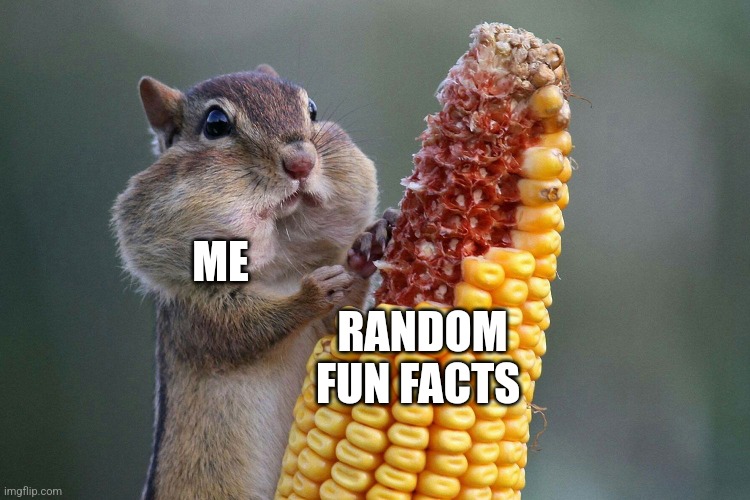 I like fun facts | ME; RANDOM FUN FACTS | image tagged in chipmunk feast,jpfan102504 | made w/ Imgflip meme maker
