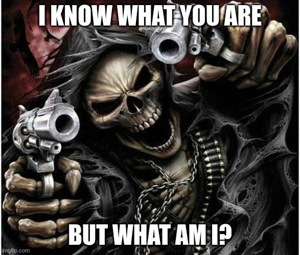 Badass Skeleton | I KNOW WHAT YOU ARE BUT WHAT AM I? | image tagged in badass skeleton | made w/ Imgflip meme maker