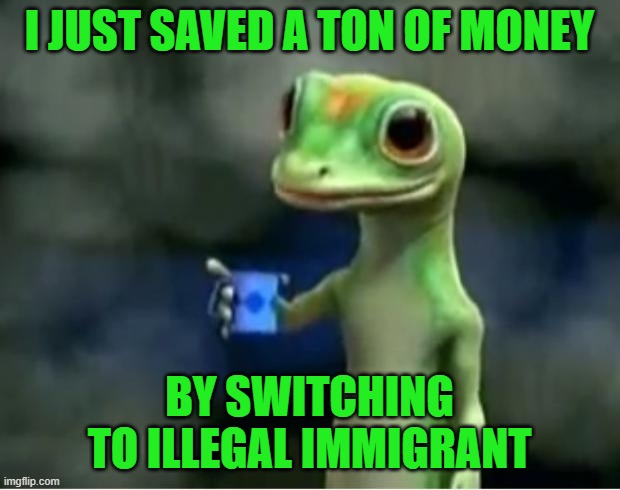 Geico Gecko | I JUST SAVED A TON OF MONEY; BY SWITCHING TO ILLEGAL IMMIGRANT | image tagged in geico gecko | made w/ Imgflip meme maker