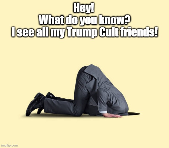 What Do You Know? I See All My Trump Cult Friends! | Hey! 

What do you know?

I see all my Trump Cult friends! | image tagged in trump cult,head in the sand,ostritch,the dark place,hiding from truth | made w/ Imgflip meme maker