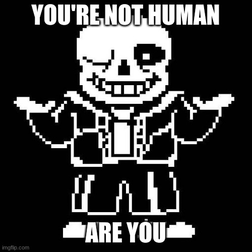 sans undertale | YOU'RE NOT HUMAN ARE YOU | image tagged in sans undertale | made w/ Imgflip meme maker