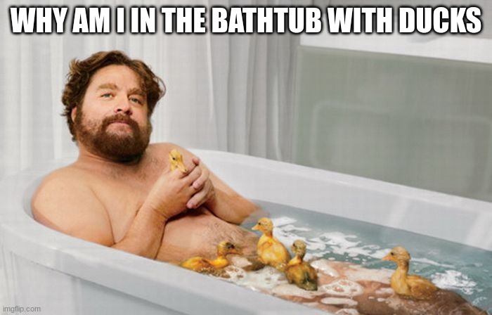 Why | WHY AM I IN THE BATHTUB WITH DUCKS | image tagged in zach's shower thoughts | made w/ Imgflip meme maker