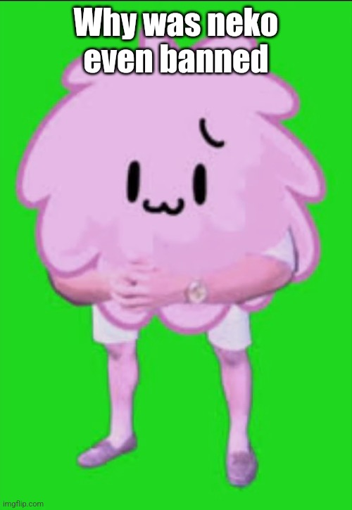Cursed puffball | Why was neko even banned | image tagged in cursed puffball | made w/ Imgflip meme maker