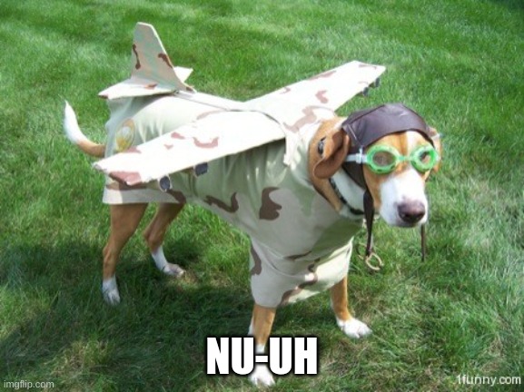 plane dog | NU-UH | image tagged in plane dog | made w/ Imgflip meme maker