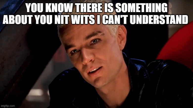 spike | YOU KNOW THERE IS SOMETHING ABOUT YOU NIT WITS I CAN'T UNDERSTAND | image tagged in spike | made w/ Imgflip meme maker