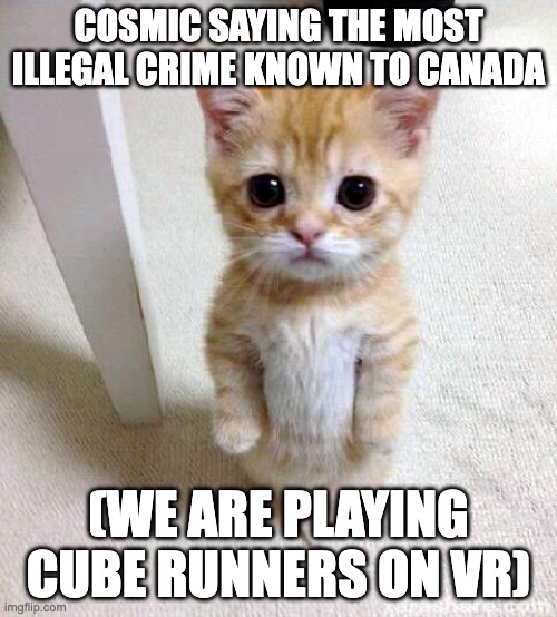 cosmic please chill (also stream Pentez and Cosmic on spotify) | COSMIC SAYING THE MOST ILLEGAL CRIME KNOWN TO CANADA; (WE ARE PLAYING CUBE RUNNERS ON VR) | image tagged in memes,cute cat | made w/ Imgflip meme maker