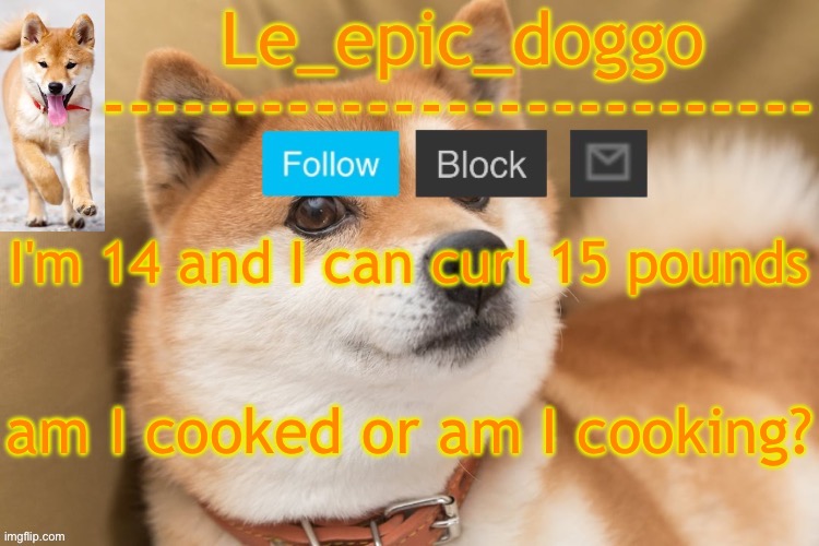 epic doggo's temp back in old fashion | I'm 14 and I can curl 15 pounds; am I cooked or am I cooking? | image tagged in epic doggo's temp back in old fashion | made w/ Imgflip meme maker