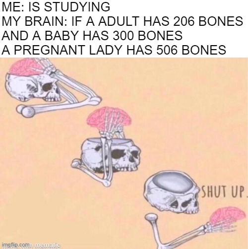 skeleton shut up meme | ME: IS STUDYING
MY BRAIN: IF A ADULT HAS 206 BONES AND A BABY HAS 300 BONES A PREGNANT LADY HAS 506 BONES | image tagged in skeleton shut up meme | made w/ Imgflip meme maker