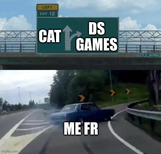 Swerving Car | CAT DS GAMES ME FR | image tagged in swerving car | made w/ Imgflip meme maker