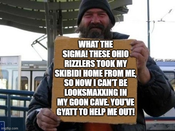 homeless sign | WHAT THE SIGMA! THESE OHIO RIZZLERS TOOK MY SKIBIDI HOME FROM ME, SO NOW I CAN'T BE LOOKSMAXXING IN MY GOON CAVE. YOU'VE GYATT TO HELP ME OUT! | image tagged in homeless sign,gen z humor,skibidi,slang | made w/ Imgflip meme maker