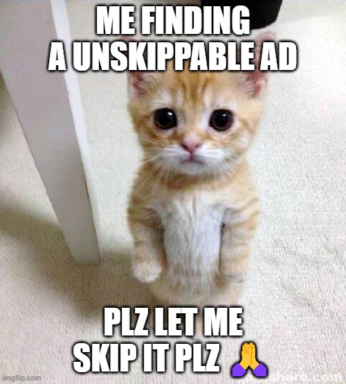 plz | ME FINDING A UNSKIPPABLE AD; PLZ LET ME SKIP IT PLZ 🙏 | image tagged in memes,cute cat | made w/ Imgflip meme maker