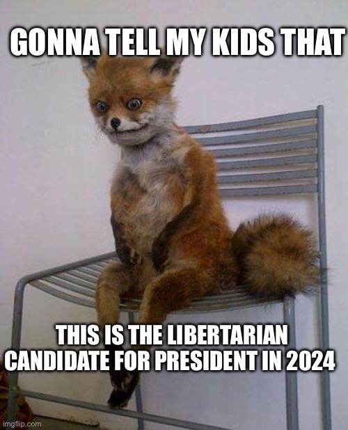 2024 | GONNA TELL MY KIDS THAT; THIS IS THE LIBERTARIAN CANDIDATE FOR PRESIDENT IN 2024 | image tagged in tired fox,libertarian,politics,political meme | made w/ Imgflip meme maker