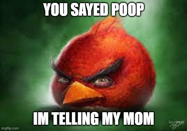 Realistic Red Angry Birds | YOU SAYED POOP; IM TELLING MY MOM | image tagged in realistic red angry birds | made w/ Imgflip meme maker