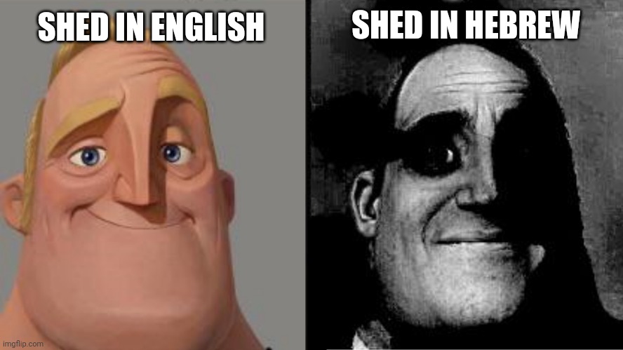 Traumatized Mr. Incredible | SHED IN ENGLISH; SHED IN HEBREW | image tagged in traumatized mr incredible,shed,english,hebrew | made w/ Imgflip meme maker