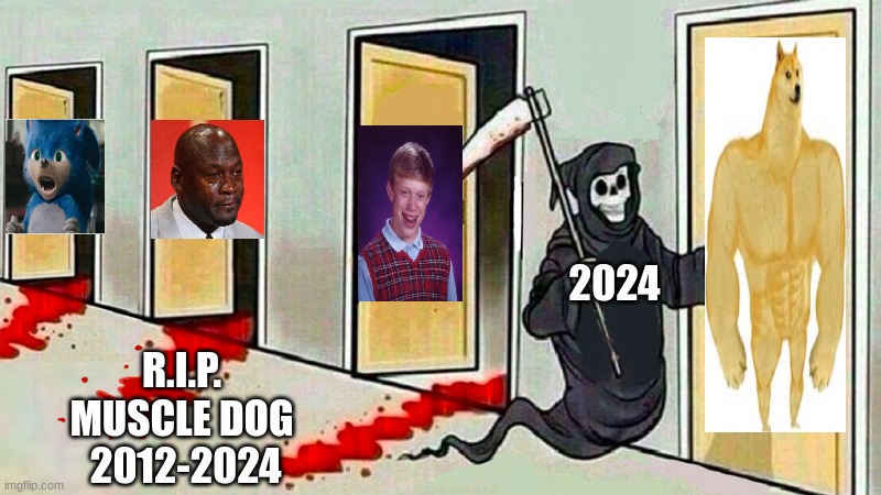 Doge Dog dead meme | 2024; R.I.P. MUSCLE DOG  2012-2024 | image tagged in death knocking at the door,doge,memes,funny memes,meme,rip | made w/ Imgflip meme maker