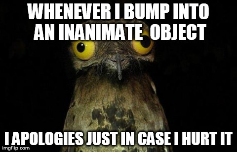 Weird Stuff I Do Potoo Meme | WHENEVER I BUMP INTO AN INANIMATE
 OBJECT I APOLOGIES JUST IN CASE I HURT IT | image tagged in memes,weird stuff i do potoo | made w/ Imgflip meme maker