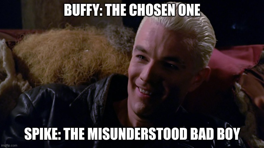 spike | BUFFY: THE CHOSEN ONE; SPIKE: THE MISUNDERSTOOD BAD BOY | image tagged in spike | made w/ Imgflip meme maker