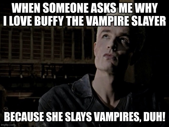 spike | WHEN SOMEONE ASKS ME WHY I LOVE BUFFY THE VAMPIRE SLAYER; BECAUSE SHE SLAYS VAMPIRES, DUH! | image tagged in spike | made w/ Imgflip meme maker