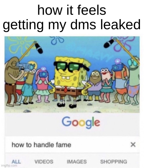 How to handle fame | how it feels getting my dms leaked | image tagged in how to handle fame | made w/ Imgflip meme maker