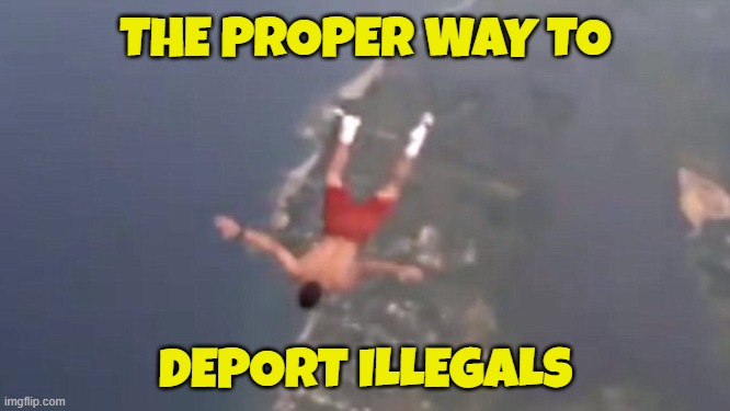 Deport every one | THE PROPER WAY TO; DEPORT ILLEGALS | image tagged in deportation,illegal immigration,immigration,illegals,fjb,open borders | made w/ Imgflip meme maker