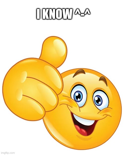 Thumbs up bitches | I KNOW ^-^ | image tagged in thumbs up bitches | made w/ Imgflip meme maker