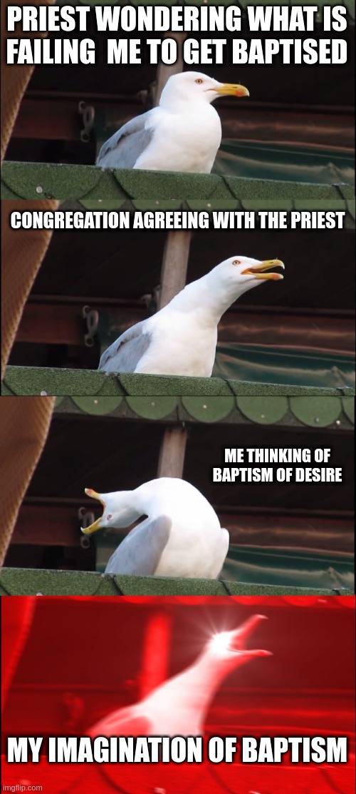 Inhaling Seagull | PRIEST WONDERING WHAT IS FAILING  ME TO GET BAPTISED; CONGREGATION AGREEING WITH THE PRIEST; ME THINKING OF BAPTISM OF DESIRE; MY IMAGINATION OF BAPTISM | image tagged in memes,inhaling seagull | made w/ Imgflip meme maker