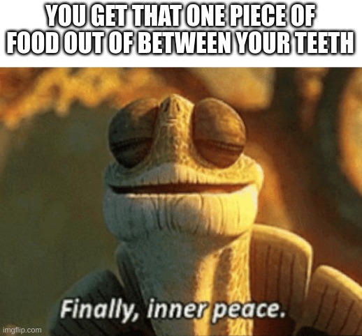 Mission accomplished | YOU GET THAT ONE PIECE OF FOOD OUT OF BETWEEN YOUR TEETH | image tagged in finally inner peace,food,teeth | made w/ Imgflip meme maker