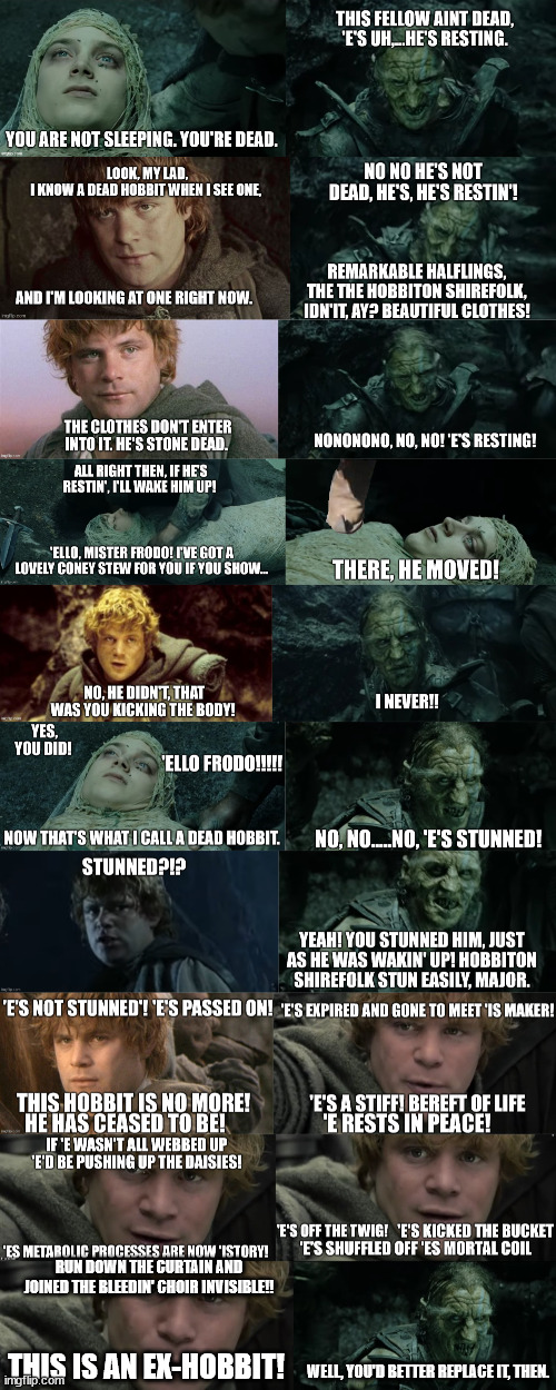 Frodo is resting | RUN DOWN THE CURTAIN AND JOINED THE BLEEDIN' CHOIR INVISIBLE!! THIS IS AN EX-HOBBIT! WELL, YOU'D BETTER REPLACE IT, THEN. | image tagged in lord of the rings,frodo,hobbits | made w/ Imgflip meme maker