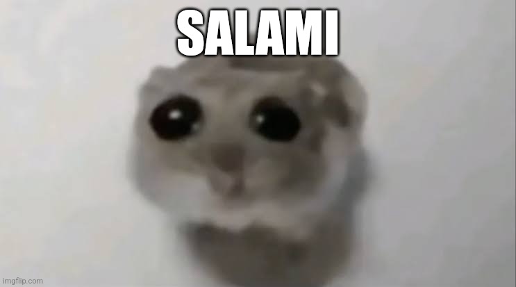 Salami | SALAMI | image tagged in sad hamster,memes,salami | made w/ Imgflip meme maker