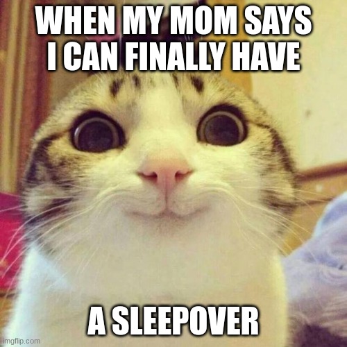 Smiling Cat | WHEN MY MOM SAYS I CAN FINALLY HAVE; A SLEEPOVER | image tagged in memes,smiling cat | made w/ Imgflip meme maker