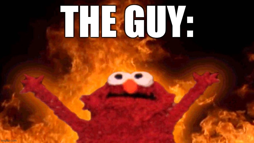 elmo fire | THE GUY: | image tagged in elmo fire | made w/ Imgflip meme maker