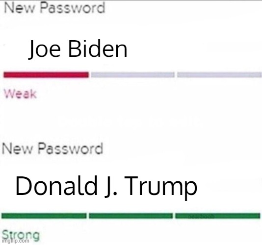 Password strength | Joe Biden; Donald J. Trump | image tagged in password strength | made w/ Imgflip meme maker