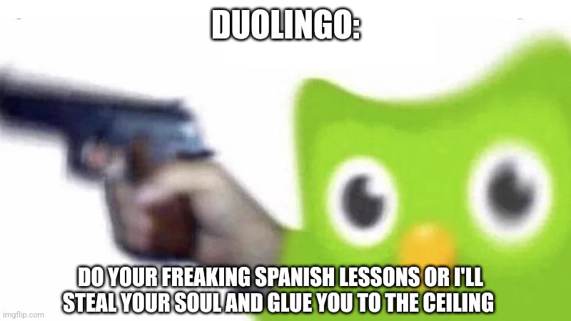 Do your stupid Spanish lessons | DUOLINGO:; DO YOUR FREAKING SPANISH LESSONS OR I'LL STEAL YOUR SOUL AND GLUE YOU TO THE CEILING | image tagged in duolingo gun,jpfan102504 | made w/ Imgflip meme maker