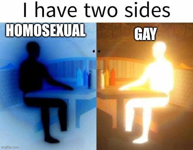 Technically incorrect but still yes | HOMOSEXUAL; GAY | image tagged in i have two sides | made w/ Imgflip meme maker