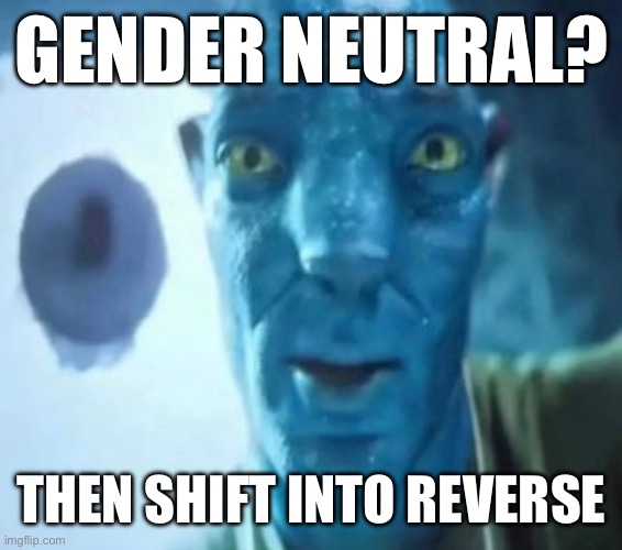 Meme? Uh, I think so | GENDER NEUTRAL? THEN SHIFT INTO REVERSE | image tagged in avatar,avatar guy,staring avatar guy,funny | made w/ Imgflip meme maker