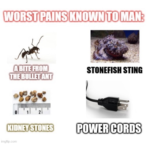 ? | POWER CORDS | image tagged in most painful things known to man | made w/ Imgflip meme maker